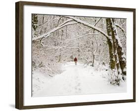 Trail and Hiker in Winter, Tiger Mountain State Forest, Washington, USA-Jamie & Judy Wild-Framed Photographic Print