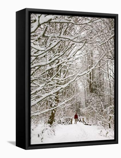 Trail and Hiker in Winter, Tiger Mountain State Forest, Washington, USA-Jamie & Judy Wild-Framed Stretched Canvas