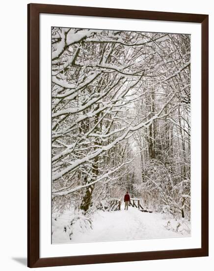 Trail and Hiker in Winter, Tiger Mountain State Forest, Washington, USA-Jamie & Judy Wild-Framed Photographic Print