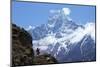 Trail Between Namche Bazaar and Everest View Hotel-Peter Barritt-Mounted Photographic Print