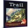 Trail Brand - Lamanda Park, California - Citrus Crate Label-Lantern Press-Mounted Art Print