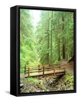 Trail Bridge, Upper Sol Duc Valley, Olympic National Park, Washington, USA-null-Framed Stretched Canvas