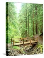 Trail Bridge, Upper Sol Duc Valley, Olympic National Park, Washington, USA-null-Stretched Canvas