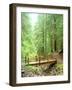 Trail Bridge, Upper Sol Duc Valley, Olympic National Park, Washington, USA-null-Framed Photographic Print