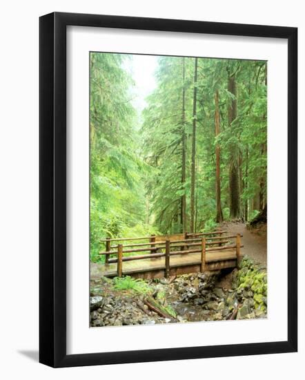 Trail Bridge, Upper Sol Duc Valley, Olympic National Park, Washington, USA-null-Framed Photographic Print