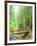 Trail Bridge, Upper Sol Duc Valley, Olympic National Park, Washington, USA-null-Framed Photographic Print