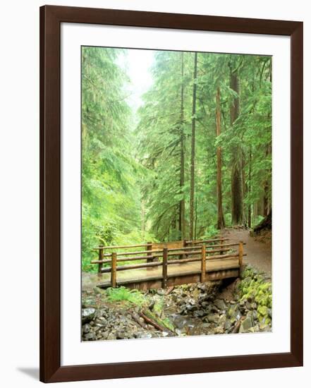 Trail Bridge, Upper Sol Duc Valley, Olympic National Park, Washington, USA-null-Framed Photographic Print