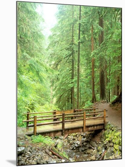 Trail Bridge, Upper Sol Duc Valley, Olympic National Park, Washington, USA-null-Mounted Photographic Print