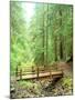 Trail Bridge, Upper Sol Duc Valley, Olympic National Park, Washington, USA-null-Mounted Photographic Print