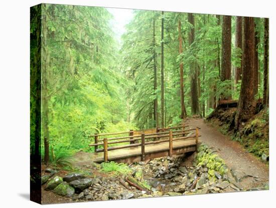 Trail Bridge, Upper Sol Duc Valley, Olympic National Park, Washington, USA-null-Stretched Canvas