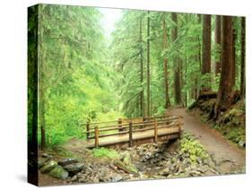 Trail Bridge, Upper Sol Duc Valley, Olympic National Park, Washington, USA-null-Stretched Canvas