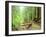 Trail Bridge, Upper Sol Duc Valley, Olympic National Park, Washington, USA-null-Framed Photographic Print