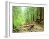 Trail Bridge, Upper Sol Duc Valley, Olympic National Park, Washington, USA-null-Framed Photographic Print