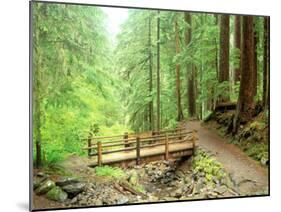 Trail Bridge, Upper Sol Duc Valley, Olympic National Park, Washington, USA-null-Mounted Photographic Print