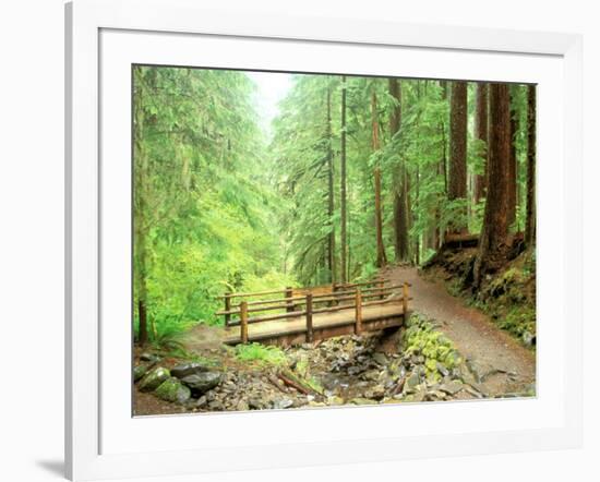 Trail Bridge, Upper Sol Duc Valley, Olympic National Park, Washington, USA-null-Framed Photographic Print