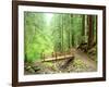 Trail Bridge, Upper Sol Duc Valley, Olympic National Park, Washington, USA-null-Framed Photographic Print