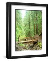 Trail Bridge, Upper Sol Duc Valley, Olympic National Park, Washington, USA-null-Framed Premium Photographic Print