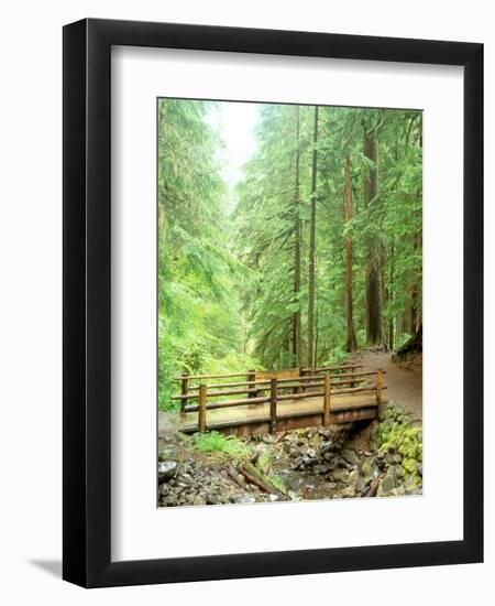 Trail Bridge, Upper Sol Duc Valley, Olympic National Park, Washington, USA-null-Framed Premium Photographic Print