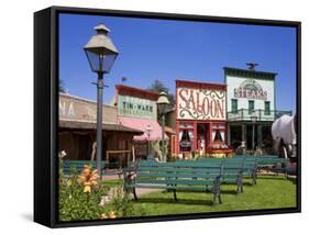 Trail Dust Frontier Town, Tucson, Pima County, Arizona, United States of America, North America-Richard Cummins-Framed Stretched Canvas