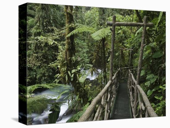 Trail in Cloud Forest, La Paz Waterfall Gardens, Central Valley, Costa Rica-Rolf Nussbaumer-Stretched Canvas