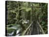 Trail in Cloud Forest, La Paz Waterfall Gardens, Central Valley, Costa Rica-Rolf Nussbaumer-Stretched Canvas