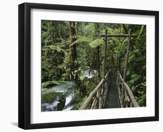 Trail in Cloud Forest, La Paz Waterfall Gardens, Central Valley, Costa Rica-Rolf Nussbaumer-Framed Photographic Print