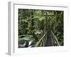 Trail in Cloud Forest, La Paz Waterfall Gardens, Central Valley, Costa Rica-Rolf Nussbaumer-Framed Photographic Print