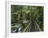 Trail in Cloud Forest, La Paz Waterfall Gardens, Central Valley, Costa Rica-Rolf Nussbaumer-Framed Photographic Print