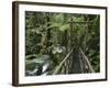 Trail in Cloud Forest, La Paz Waterfall Gardens, Central Valley, Costa Rica-Rolf Nussbaumer-Framed Photographic Print