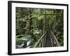 Trail in Cloud Forest, La Paz Waterfall Gardens, Central Valley, Costa Rica-Rolf Nussbaumer-Framed Photographic Print