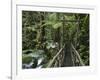 Trail in Cloud Forest, La Paz Waterfall Gardens, Central Valley, Costa Rica-Rolf Nussbaumer-Framed Photographic Print