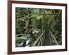 Trail in Cloud Forest, La Paz Waterfall Gardens, Central Valley, Costa Rica-Rolf Nussbaumer-Framed Photographic Print