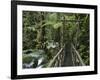 Trail in Cloud Forest, La Paz Waterfall Gardens, Central Valley, Costa Rica-Rolf Nussbaumer-Framed Photographic Print