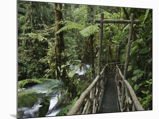 Trail in Cloud Forest, La Paz Waterfall Gardens, Central Valley, Costa Rica-Rolf Nussbaumer-Mounted Photographic Print