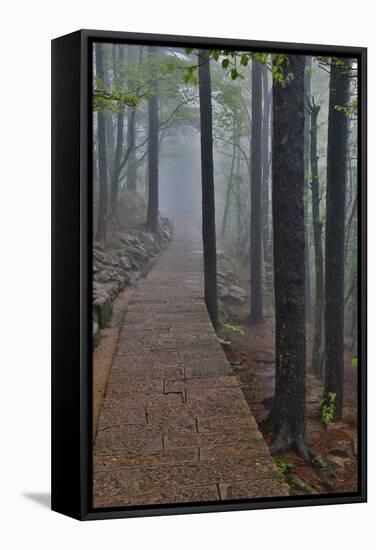 Trail in Fog, Yellow Mountains a UNESCO World Heritage Site-Darrell Gulin-Framed Stretched Canvas