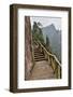 Trail in Fog, Yellow Mountains a UNESCO World Heritage Site-Darrell Gulin-Framed Photographic Print