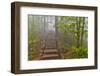 Trail in Fog, Yellow Mountains a UNESCO World Heritage Site-Darrell Gulin-Framed Photographic Print