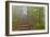 Trail in Fog, Yellow Mountains a UNESCO World Heritage Site-Darrell Gulin-Framed Photographic Print