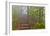 Trail in Fog, Yellow Mountains a UNESCO World Heritage Site-Darrell Gulin-Framed Photographic Print