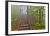 Trail in Fog, Yellow Mountains a UNESCO World Heritage Site-Darrell Gulin-Framed Photographic Print