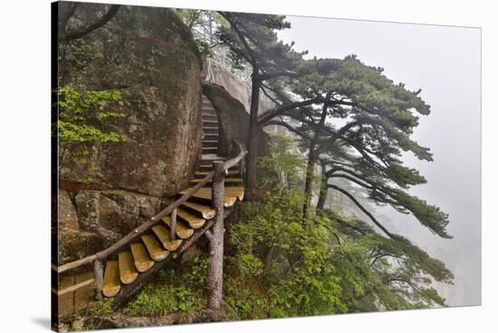 Trail in Fog, Yellow Mountains a UNESCO World Heritage Site-Darrell Gulin-Stretched Canvas
