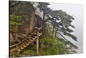 Trail in Fog, Yellow Mountains a UNESCO World Heritage Site-Darrell Gulin-Stretched Canvas