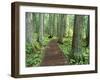 Trail in Glacier National Park, Montana, USA-Darrell Gulin-Framed Premium Photographic Print