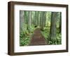 Trail in Glacier National Park, Montana, USA-Darrell Gulin-Framed Photographic Print