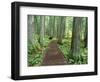 Trail in Glacier National Park, Montana, USA-Darrell Gulin-Framed Photographic Print