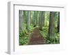 Trail in Glacier National Park, Montana, USA-Darrell Gulin-Framed Photographic Print