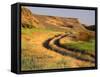 Trail in Grasslands, Columbia National Wildlife Refuge, near Othello, Washington, USA-null-Framed Stretched Canvas