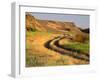 Trail in Grasslands, Columbia National Wildlife Refuge, near Othello, Washington, USA-null-Framed Photographic Print