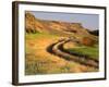 Trail in Grasslands, Columbia National Wildlife Refuge, near Othello, Washington, USA-null-Framed Photographic Print