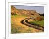 Trail in Grasslands, Columbia National Wildlife Refuge, near Othello, Washington, USA-null-Framed Photographic Print